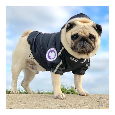 Paw-Tex® Raincoat