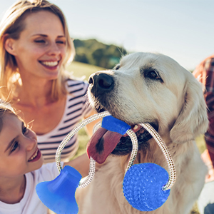 Dog Molar Bite Toy